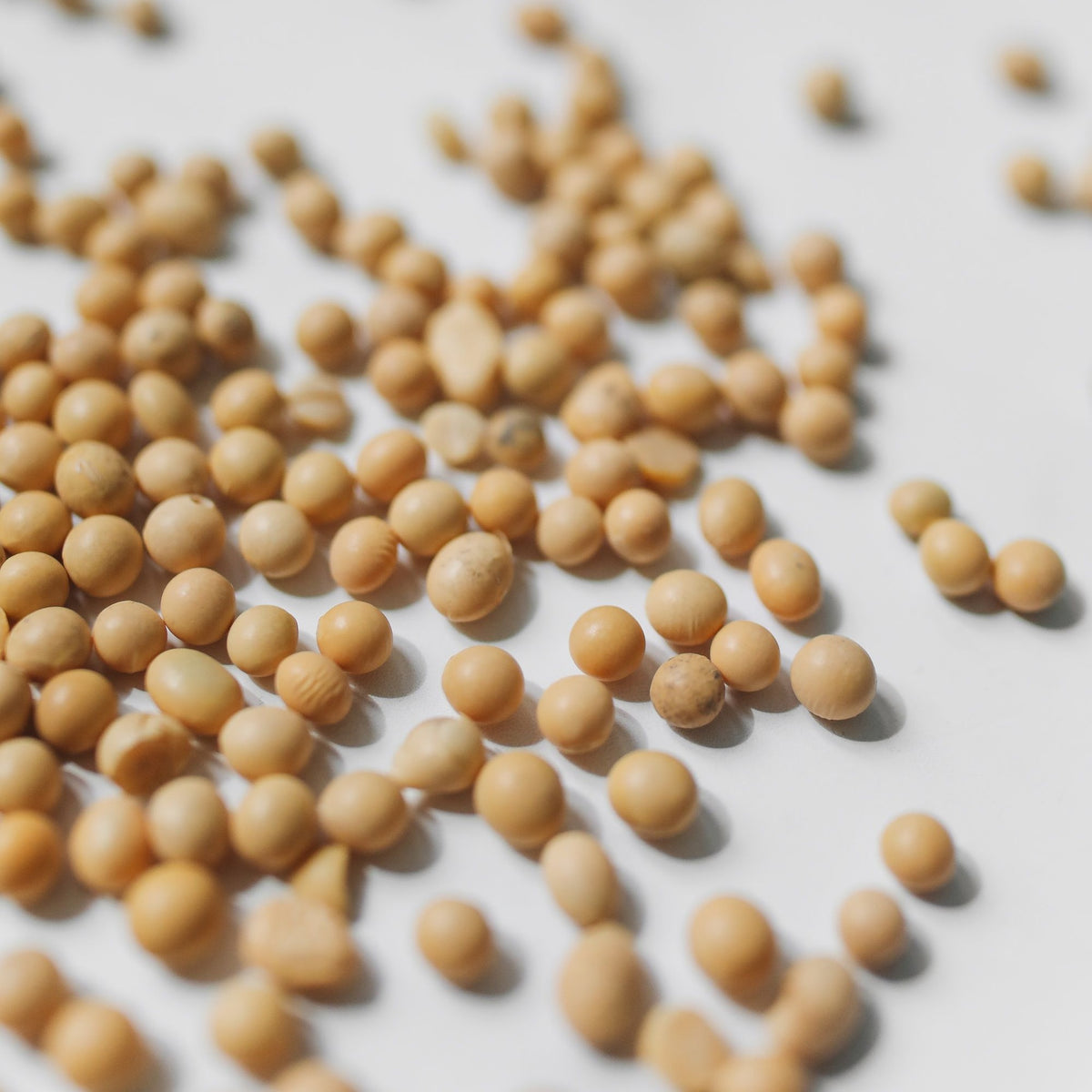 Soybeans